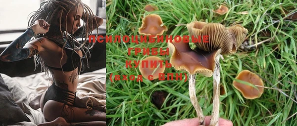 мдпв Бронницы